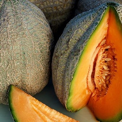Pike, Melon Seeds – Urban Farmer