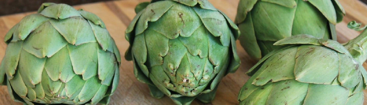 Artichoke Growing Guide