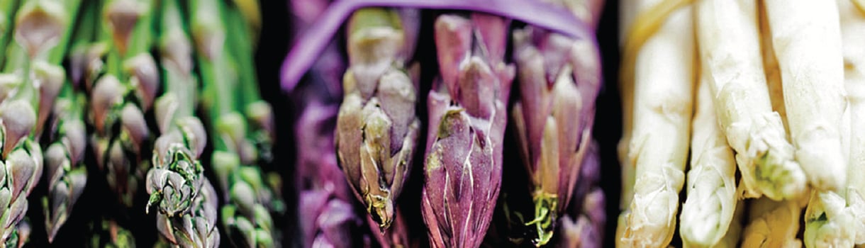 Asparagus : From Seeds To Harvest