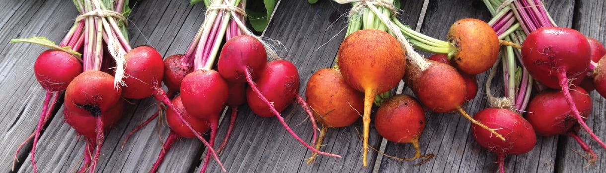 How to Grow Beets