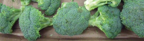 How to Grow Broccoli
