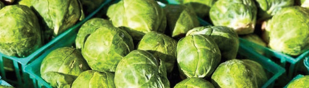 How to Grow Brussel Sprouts