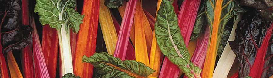 Chard : From Seeds To Harvest