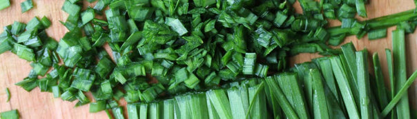 How to Grow Chives