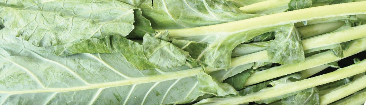 Collard : From Seeds To Harvest
