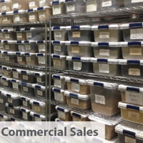 Wholesale Seeds