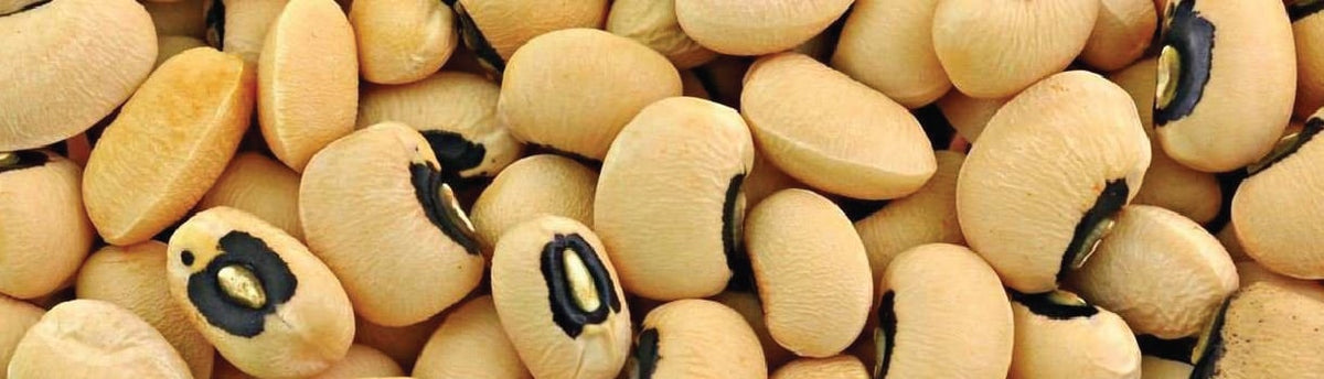 Cowpea : From Seeds To Harvest