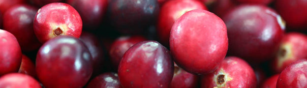 Cranberries Seed To Harvest
