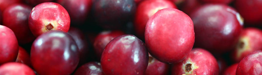 Cranberries Seed To Harvest
