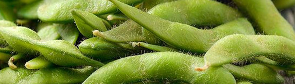 Soybean Growing Guide