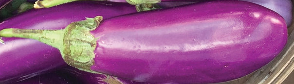 How to Grow Eggplant