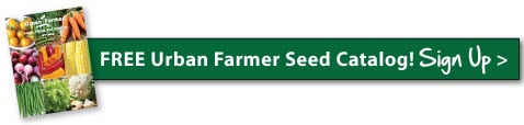 What To Plant in February