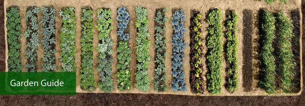 Garden Guide