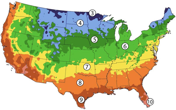 Zone 7 Planting Calendar