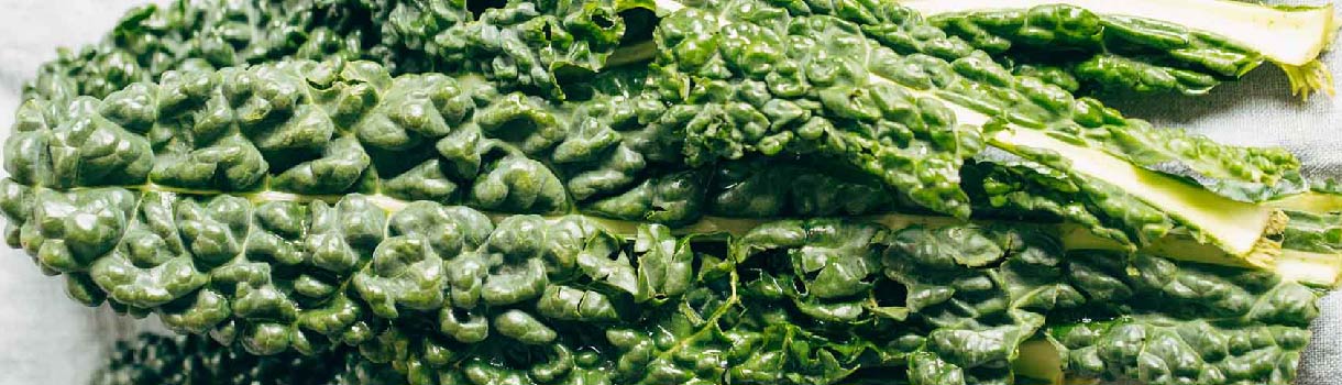 Kale : Seed to Harvest