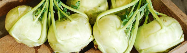 Kohlrabi : From Seeds To Harvest