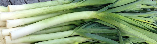 Leek : From Seeds To Harvest