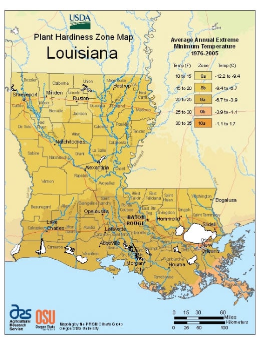 Louisiana Vegetable Planting Calendar