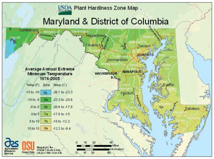 maryland-vegetable-planting-calendar