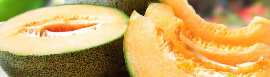 How to Grow Melons