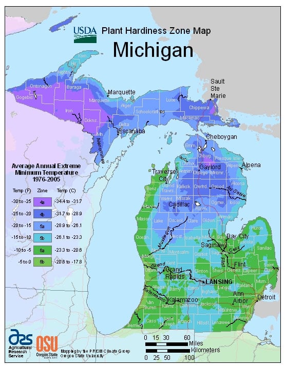 michigan-vegetable-planting-calendar