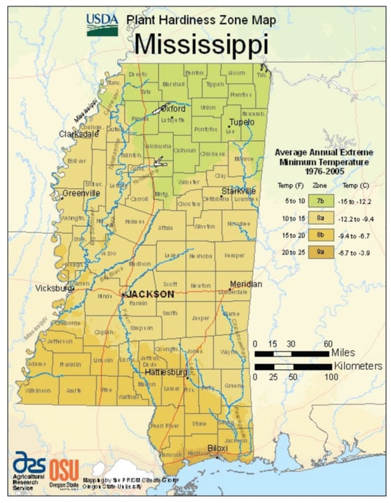 mississippi-vegetable-planting-calendar