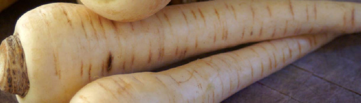 Parsnip : From Seeds To Harvest
