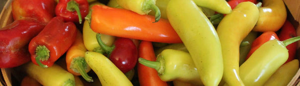 How to Grow Pepper