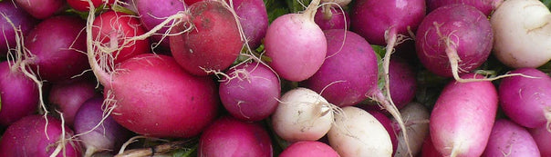 How to Grow Radish