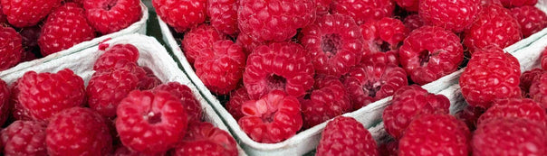 Raspberries Seed To Harvest