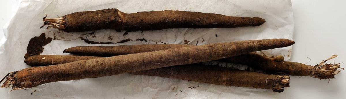Salsify : From Seeds To Harvest