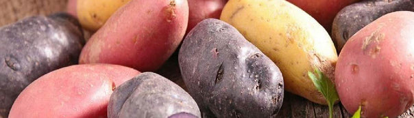 Potato : From Seeds To Harvest