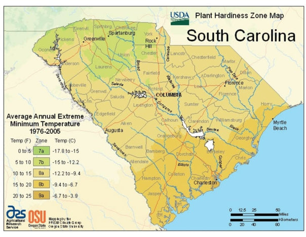 south-carolina-vegetable-planting-calendar