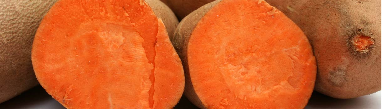 Sweet Potato : From Seeds To Harvest
