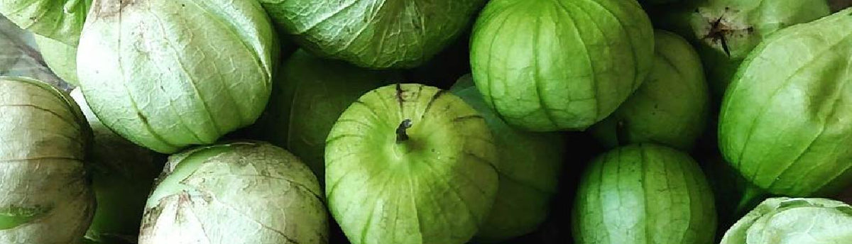 Tomatillo : From Seeds To Harvest