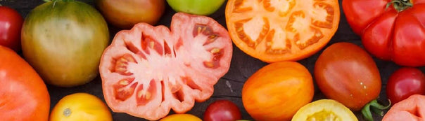 How to Grow Tomatoes