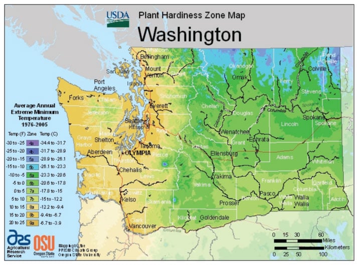 washington-vegetable-planting-calendar
