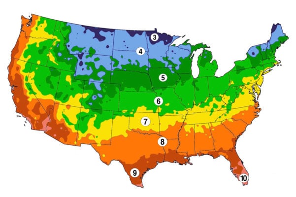 Zone 3 Planting Calendar