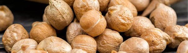 Garbanzo Beans Seed To Havest