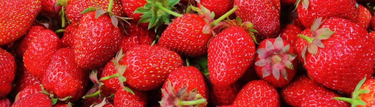 Strawberries Seed To Harvest
