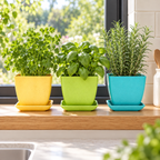 Indoor Herb Garden, Herb Kits