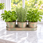 Metal Herb Garden Kit (Round), Herb Kits