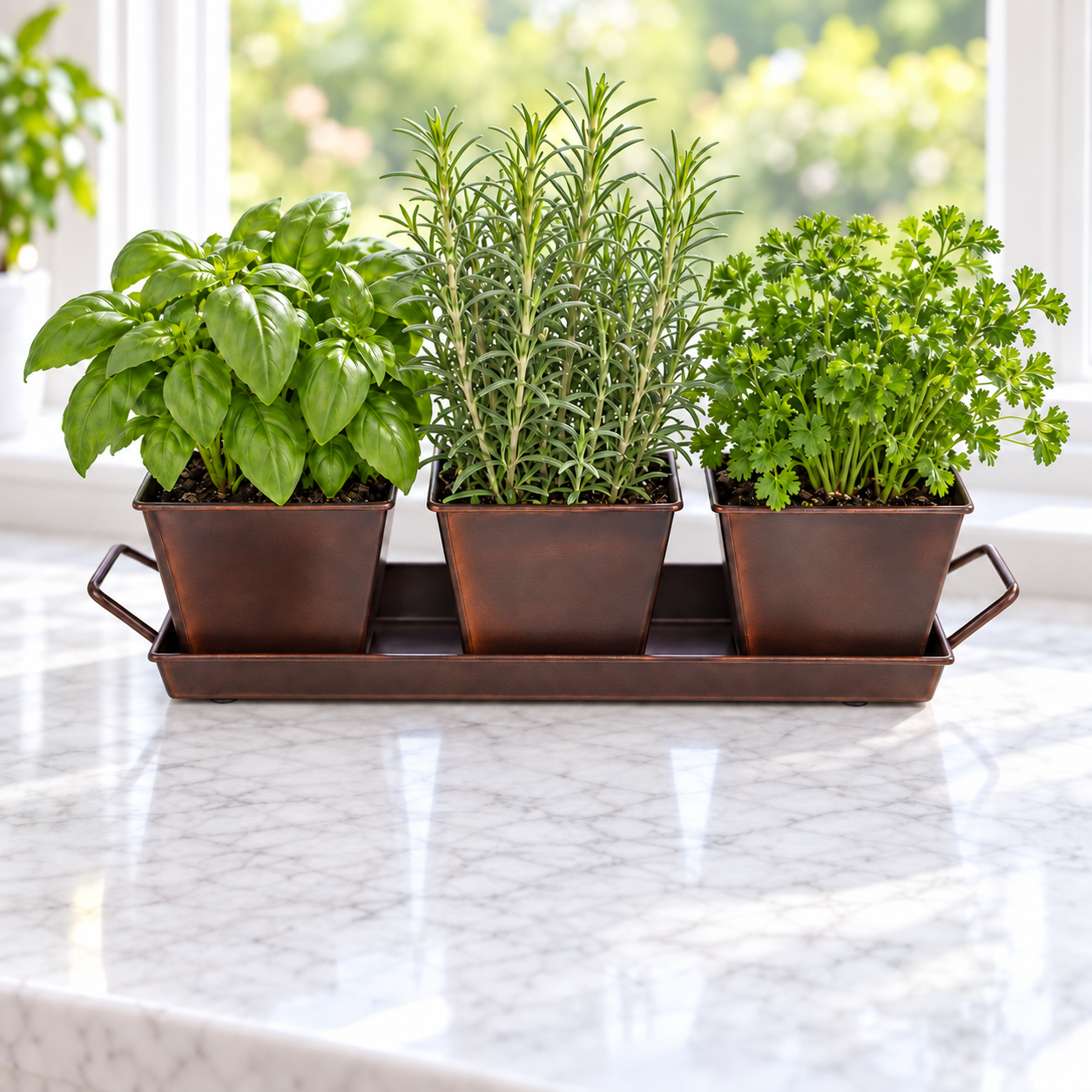 Metal Herb Kit (Square), Herb Kits