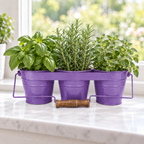 Metal Herb Kit with Handle, Herb Kits