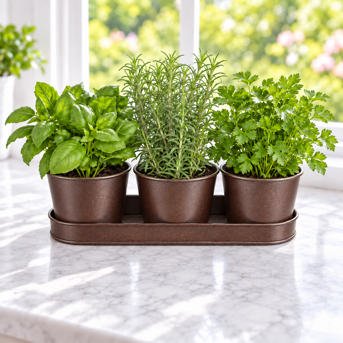 Metal Herb Garden Kit (Round), Herb Kits