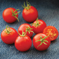 42 Day, Tomato Seeds