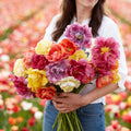 45 Days of Peony, Tulip Bulbs