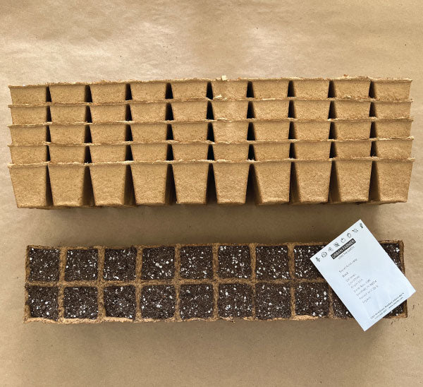 20 Cell Fertilpot Strips