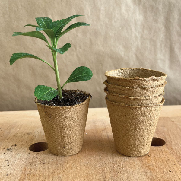 2 1/3" Round Fertilpot