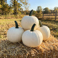 Abominable, (F1) Pumpkin Seeds